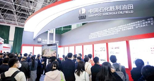 2024中國油氣開發(fā)技術(shù)年會 聚焦提質(zhì)增效，共繪能源新藍圖